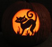 Feline Groovy pumpkin